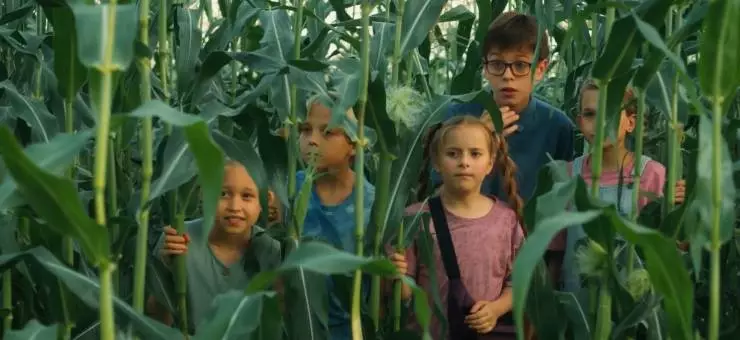 Поле чудес (2025) в хорошем качестве скачать торрент файл Поле чудес (2025) фильм в хорошем качестве скачать торрент файл