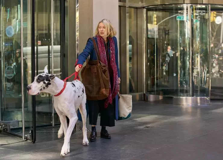 Верный друг (2024) скачать торрент файл Верный друг (2024) фильм скачать торрент файл