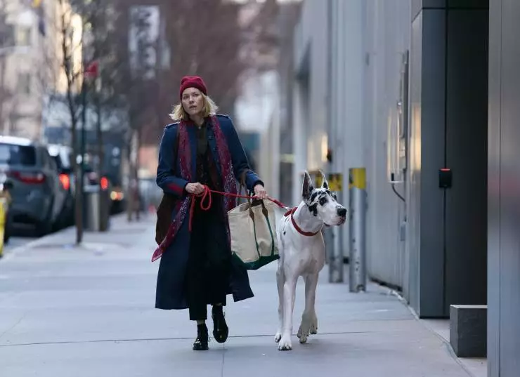 Верный друг (2024) в хорошем качестве скачать торрент файл Верный друг (2024) фильм в хорошем качестве скачать торрент файл