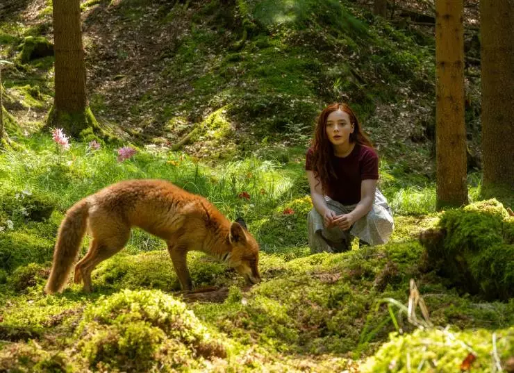 Магия четырёх стихий (2025) скачать торрент файл Магия четырёх стихий (2025) фильм скачать торрент файл