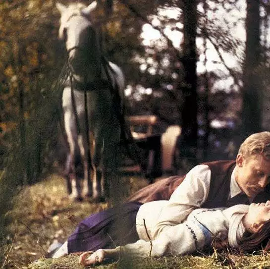 Барышни из Вилько (1979) в хорошем качестве скачать торрент файл Барышни из Вилько (1979) фильм в хорошем качестве скачать торрент файл