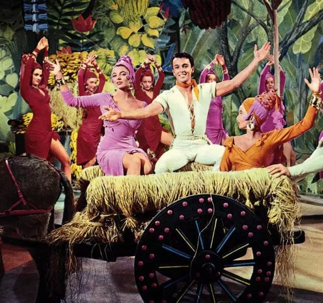 Противоположный пол (1956) скачать торрент файл Противоположный пол (1956) фильм скачать торрент файл