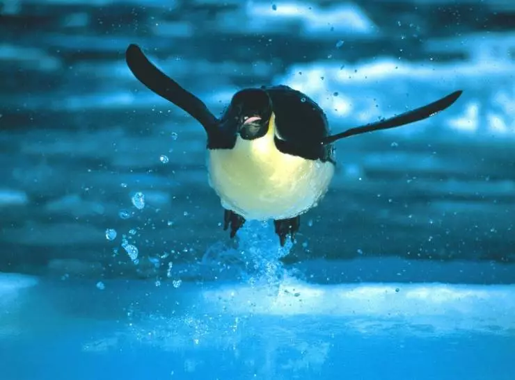 Глубина (2003) скачать торрент бесплатно Глубина (2003) фильм скачать торрент бесплатно