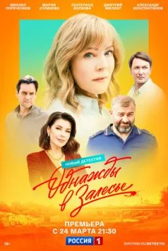 Однажды в Залесье (2025) cериал скачать через торрет бесплатно в хорошем качестве