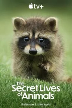Тайная жизнь животных / The Secret Lives of Animals (2024) cериал скачать через торрет бесплатно в хорошем качестве