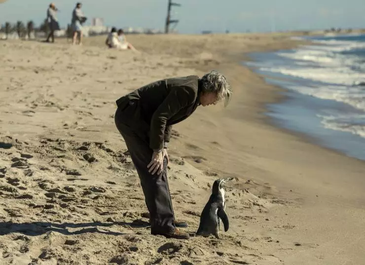 Школа мистера Пингвина (2024) скачать торрент файл Школа мистера Пингвина (2024) фильм скачать торрент файл