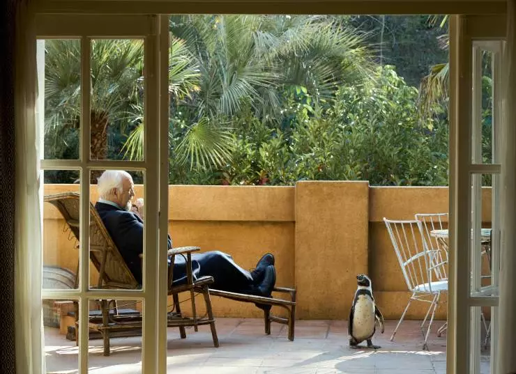 Школа мистера Пингвина (2024) в хорошем качестве скачать торрент файл Школа мистера Пингвина (2024) фильм в хорошем качестве скачать торрент файл