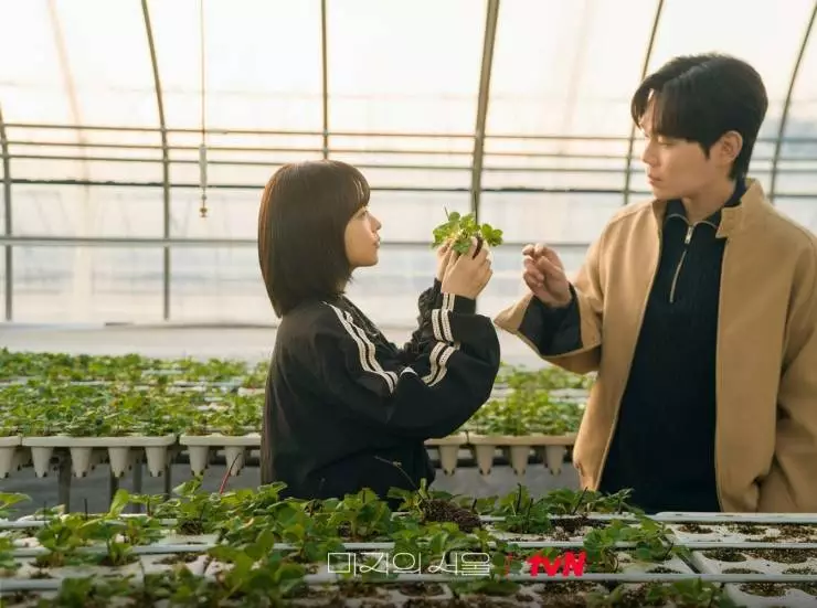 Сеул Ми-джи (2025) 1 сезон 1-10,11,12 серия скачать торрент файл Сеул Ми-джи (2025) сериал 1-10,11,12 серию 1 сезона скачать торрент файл