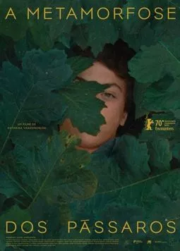 A Metamorfose dos Pássaros (2020) фильм скачать через торрет бесплатно в хорошем качестве