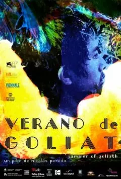 Лето Голиафа / Verano de Goliat (2010) фильм скачать через торрет бесплатно в хорошем качестве