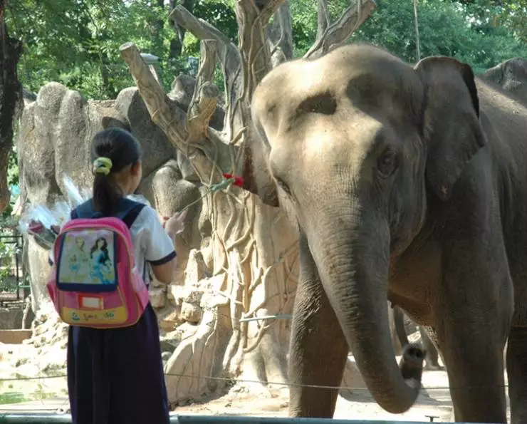 Сова и Воробей (2007) скачать торрент бесплатно Сова и Воробей (2007) фильм скачать торрент бесплатно