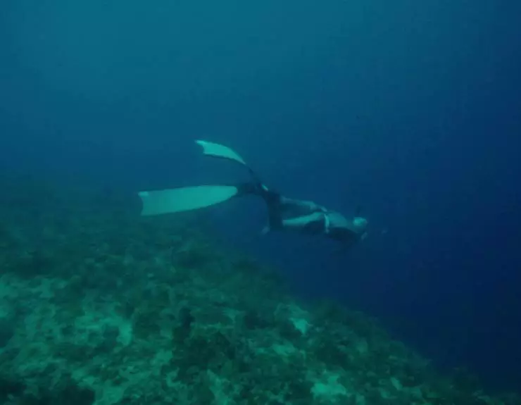 Глубь (2018) скачать торрент файл Глубь (2018) фильм скачать торрент файл