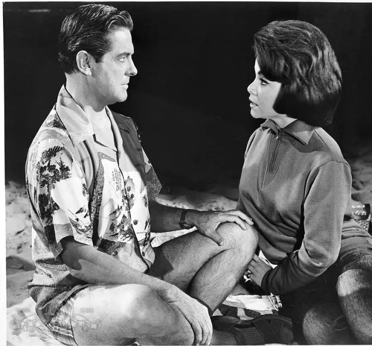 Пляжные тусовщики (1963) скачать торрент файл Пляжные тусовщики (1963) фильм скачать торрент файл