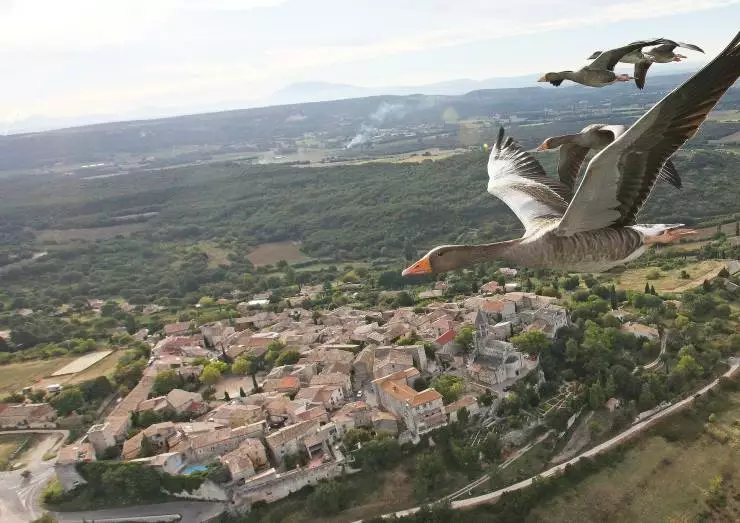 Загадки перелётных птиц (2014) в хорошем качестве скачать торрент файл Загадки перелётных птиц (2014) фильм в хорошем качестве скачать торрент файл