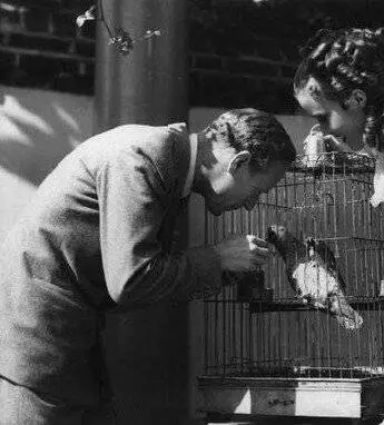 Алый первоцвет (1934) скачать торрент файл Алый первоцвет (1934) фильм скачать торрент файл