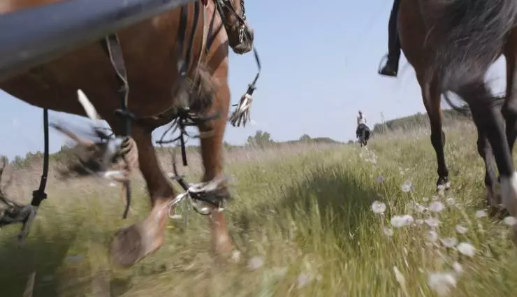 Кто ты, волонтер? (2022) в хорошем качестве скачать торрент файл Кто ты, волонтер? (2022) фильм в хорошем качестве скачать торрент файл