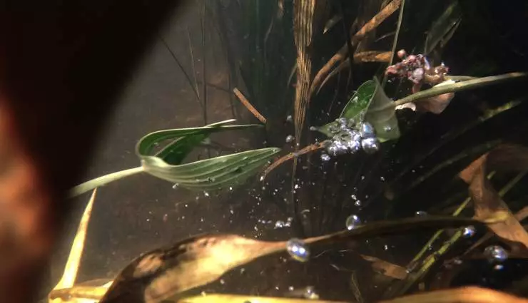 Кто ты, волонтер? (2022) скачать торрент бесплатно Кто ты, волонтер? (2022) фильм скачать торрент бесплатно