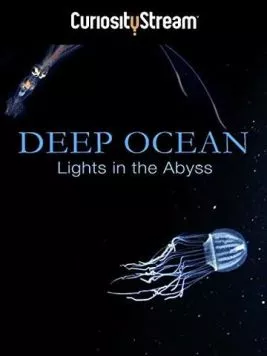 Глубокий океан: Свет в бездне / Deep Ocean: Lights in the Abyss (2016) фильм скачать через торрет бесплатно в хорошем качестве