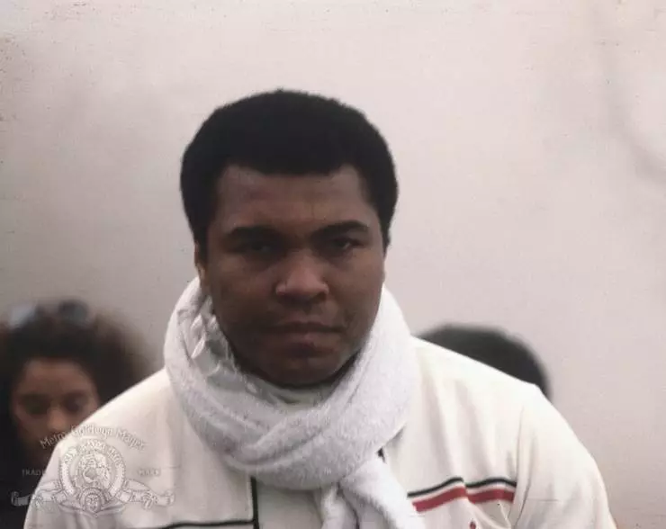 Тело и душа (1981) в хорошем качестве скачать торрент файл Тело и душа (1981) фильм в хорошем качестве скачать торрент файл