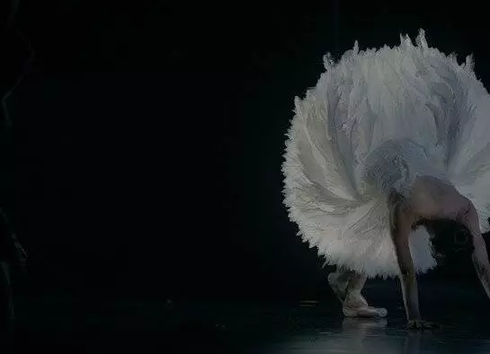 TheatreHD: Лебединая песня (2023) скачать торрент бесплатно TheatreHD: Лебединая песня (2023) фильм скачать торрент бесплатно