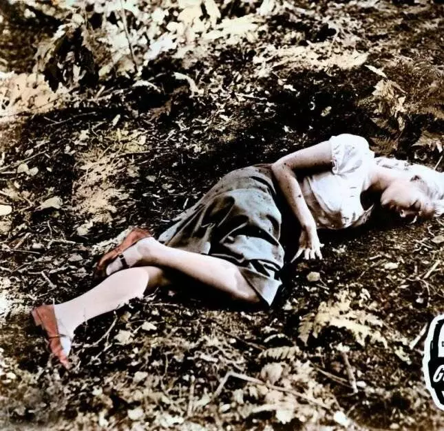 Пэйтон Плейс (1957) скачать торрент бесплатно Пэйтон Плейс (1957) фильм скачать торрент бесплатно