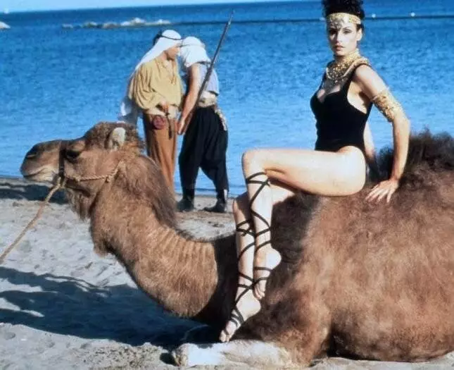 Дневная фотомодель (1994) скачать торрент файл Дневная фотомодель (1994) фильм скачать торрент файл