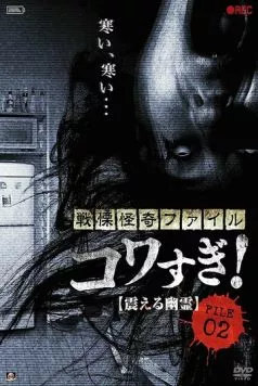 Скачать Ужасающие материалы, файл 2: Дрожащий призрак / Senritsu Kaiki File Kowasugi File 02: Shivering Ghost(2012) фильм с торрента бесплатно
