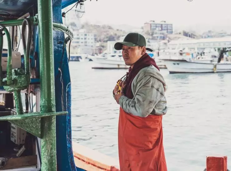 Страна утренней свежести (2024) в хорошем качестве скачать торрент файл Страна утренней свежести (2024) фильм в хорошем качестве скачать торрент файл