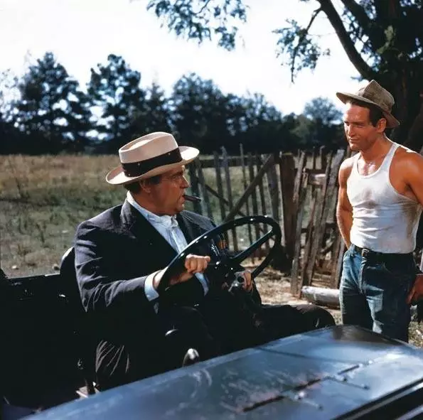 Долгое жаркое лето (1958) скачать торрент файл Долгое жаркое лето (1958) фильм скачать торрент файл