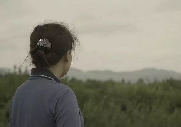 Цветы в тени (2019) скачать торрент бесплатно Цветы в тени (2019) фильм скачать торрент бесплатно