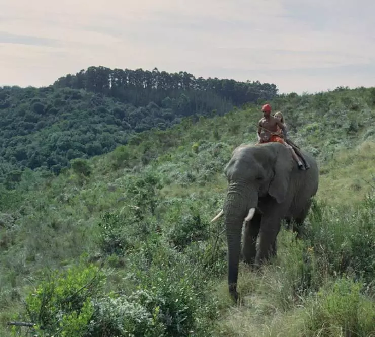 Волшебная поездка в Африку (2010) в хорошем качестве скачать торрент файл Волшебная поездка в Африку (2010) фильм в хорошем качестве скачать торрент файл