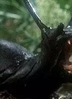 Слизни (1988) в хорошем качестве скачать торрент файл Слизни (1988) фильм в хорошем качестве скачать торрент файл