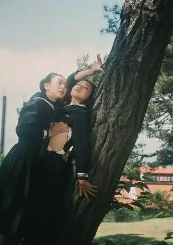 Ад девушки (1977) скачать торрент файл Ад девушки (1977) фильм скачать торрент файл