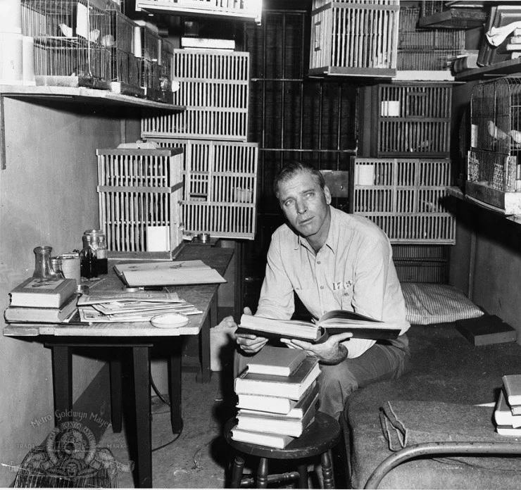 Любитель птиц из Алькатраса (1962) скачать торрент бесплатно Любитель птиц из Алькатраса (1962) фильм скачать торрент бесплатно