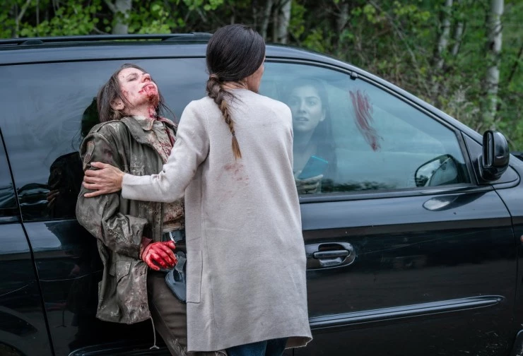 Гризли (2025) в хорошем качестве скачать торрент файл Гризли (2025) фильм в хорошем качестве скачать торрент файл