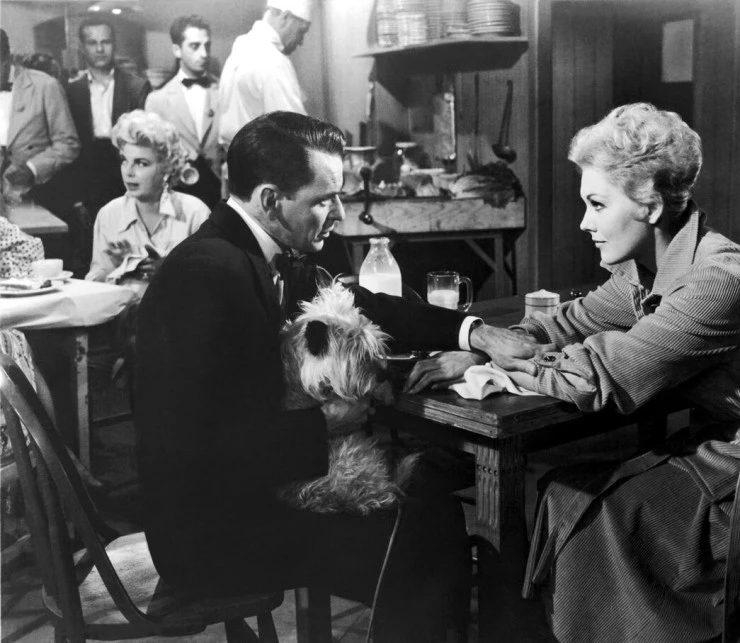 Приятель Джои (1957) скачать торрент файл Приятель Джои (1957) фильм скачать торрент файл