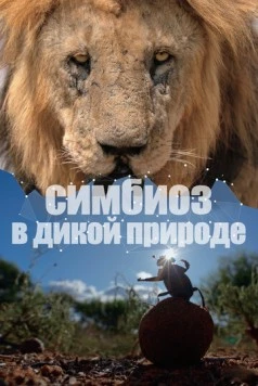 Симбиоз в дикой природе / Connection 2023 смотреть онлайн cериал в хорошем качестве