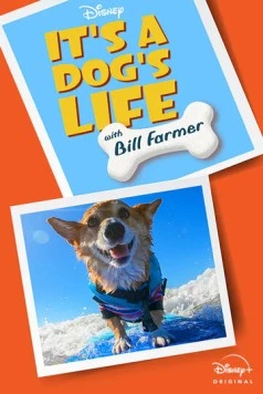 It's A Dog's Life (2020) cериал скачать через торрет бесплатно в хорошем качестве