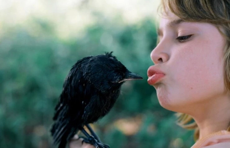 Галчонок (2012) скачать торрент файл Галчонок (2012) фильм скачать торрент файл