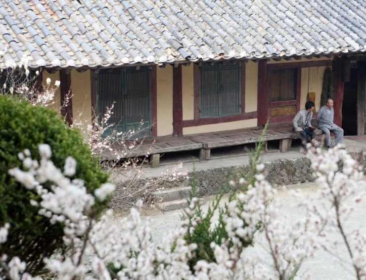 Как путешествовать с быком (2010) скачать торрент бесплатно Как путешествовать с быком (2010) фильм скачать торрент бесплатно