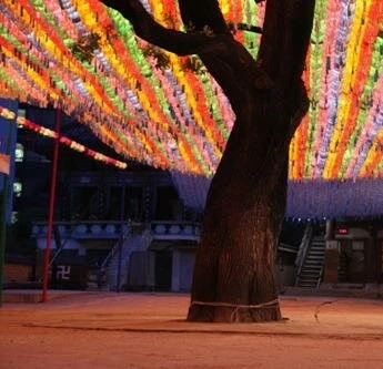 Как путешествовать с быком (2010) скачать торрент файл Как путешествовать с быком (2010) фильм скачать торрент файл