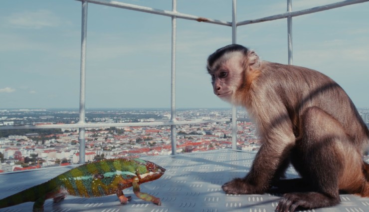 Побег из зоопарка (2024) скачать торрент файл Побег из зоопарка (2024) фильм скачать торрент файл