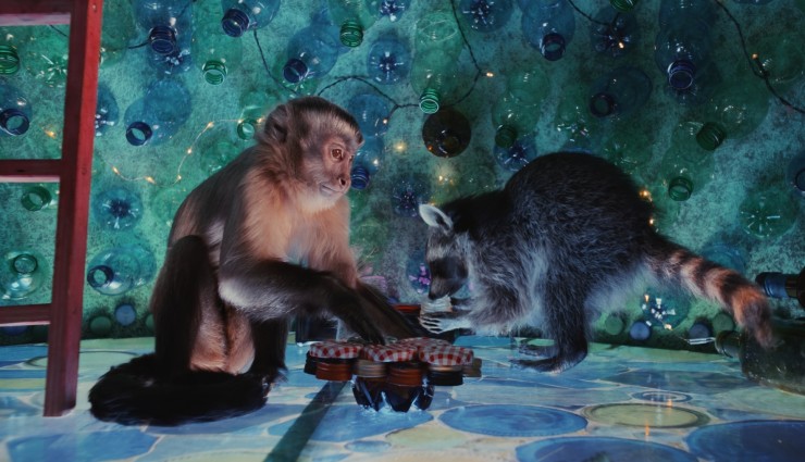 Побег из зоопарка (2024) скачать торрент бесплатно Побег из зоопарка (2024) фильм скачать торрент бесплатно