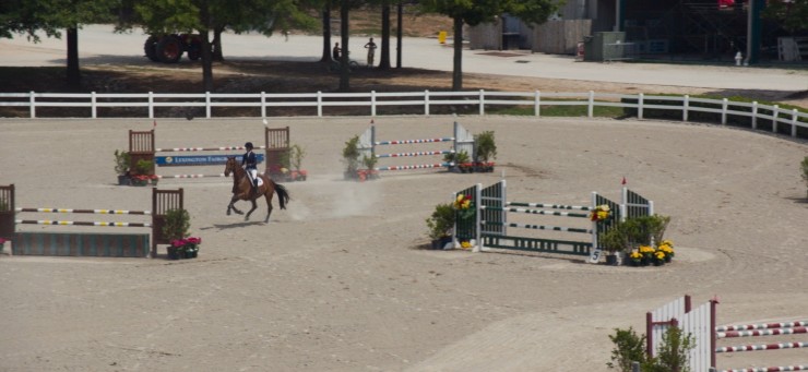 Моя лошадь (2016) скачать торрент файл Моя лошадь (2016) фильм скачать торрент файл