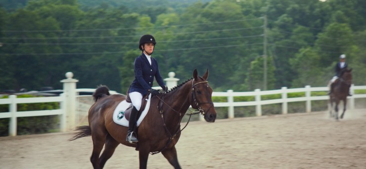 Моя лошадь (2016) скачать торрент бесплатно Моя лошадь (2016) фильм скачать торрент бесплатно