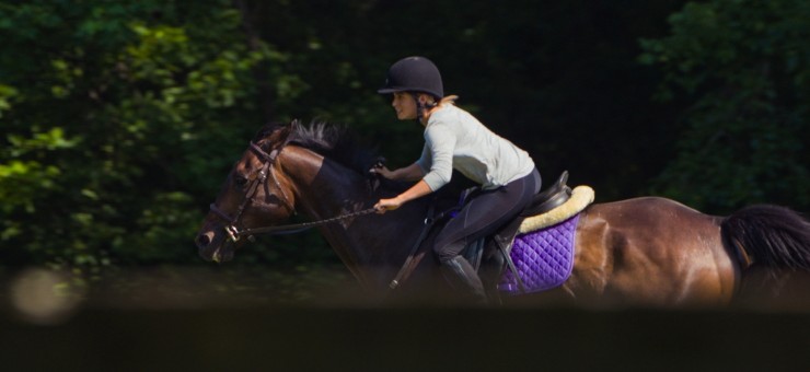 Моя лошадь (2016) в хорошем качестве скачать торрент файл Моя лошадь (2016) фильм в хорошем качестве скачать торрент файл