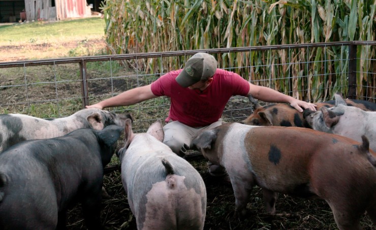 Корпорация «Еда» 2 (2023) скачать торрент файл Корпорация «Еда» 2 (2023) фильм скачать торрент файл