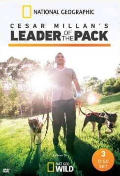 Сесар Миллан: Вожак стаи / Cesar Millan's Leader of the Pack (2012) cериал скачать через торрет бесплатно в хорошем качестве