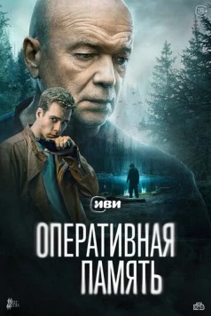 Оперативная память 2025 смотреть онлайн cериал в хорошем качестве