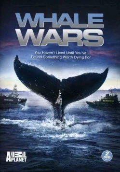 Китовые войны / Whale Wars (2008) cериал скачать через торрет бесплатно в хорошем качестве